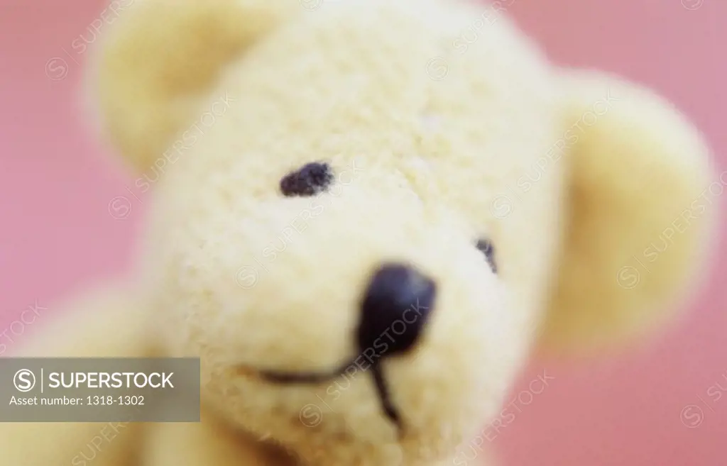 Close-up of a stuffed teddy bear