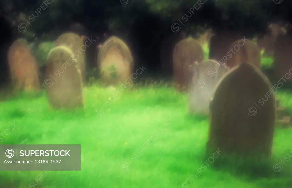 UK, England, Suffolk, Atmospheric corner of churchyard with weathered random gravestones surrounded by soft green grass and dark tree behind