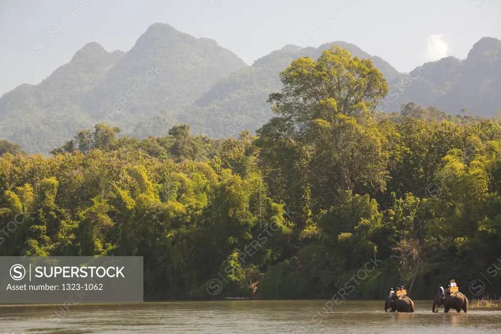 People riding elephants in the river, Nam Khan River, Luang Phabang, Laos