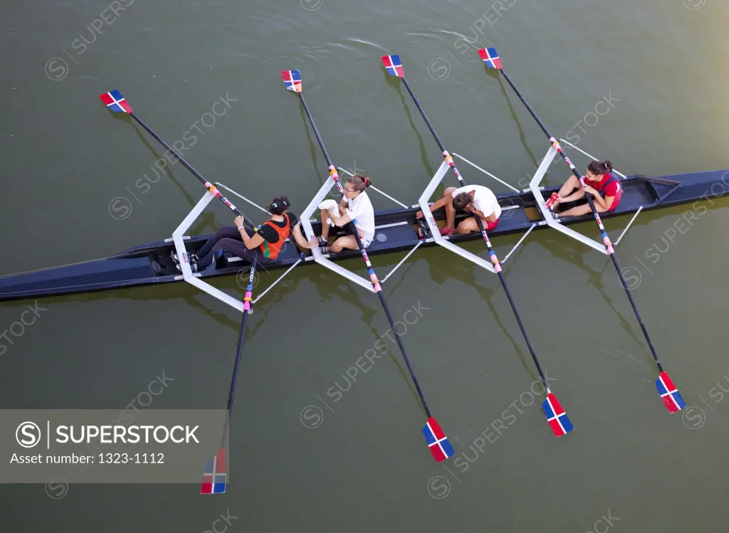 High angle view of rowers sculling a boat in a river, Guadalquivir River, Seville, Seville Province, Andalusia, Spain