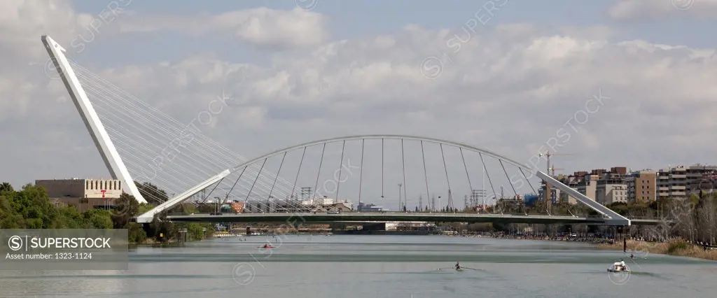 Suspension bridge across a river, Barqueta Bridge, Guadalquivir River, Seville, Andalusia, Spain