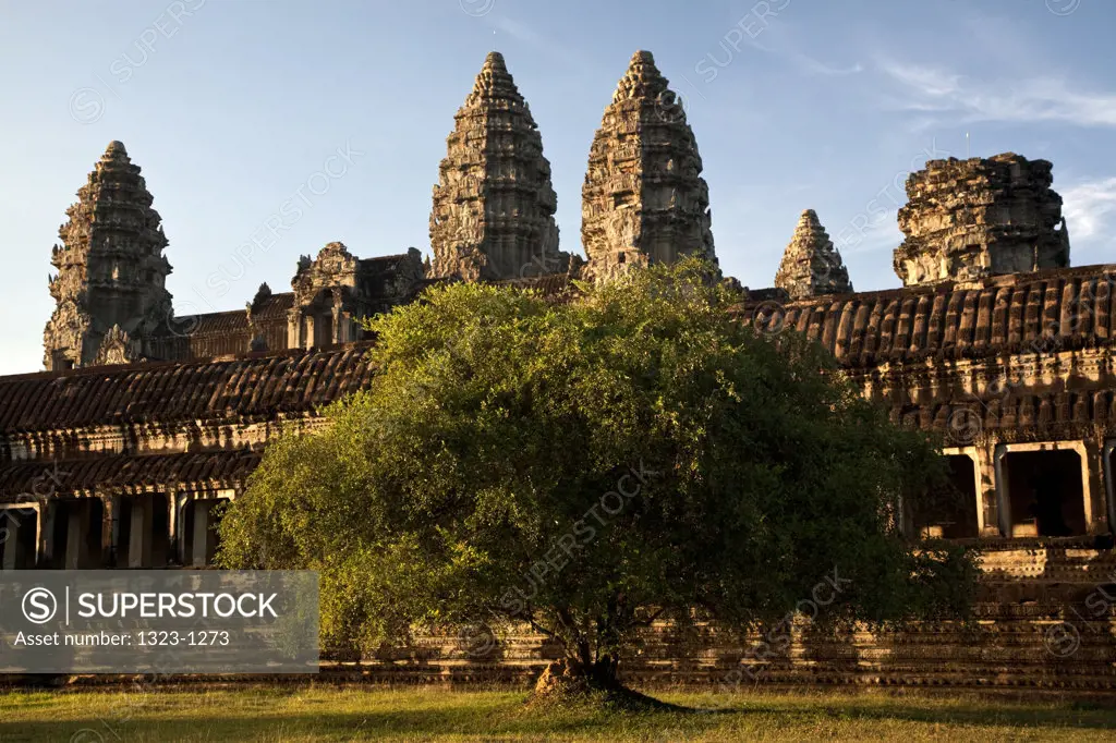 Tree in front of a temple, Angkor Wat, Angkor, Cambodia