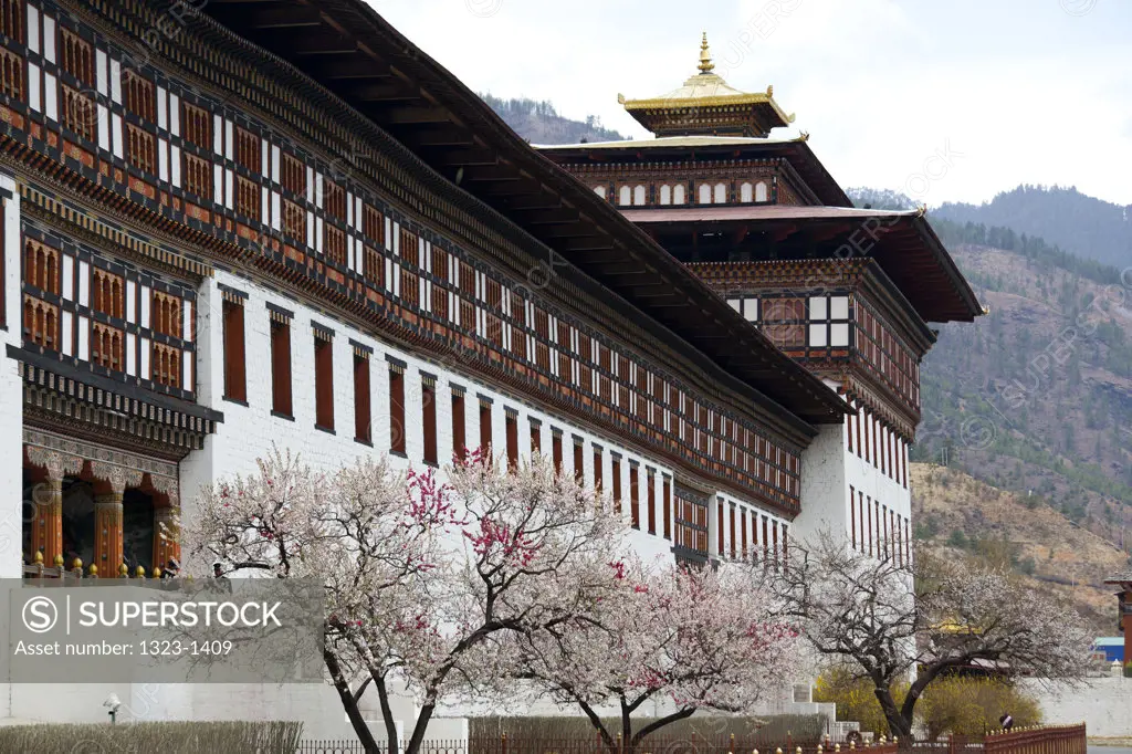 Architectural details of Buddhist monastery, Tashichhodzong, Thimphu, Bhutan