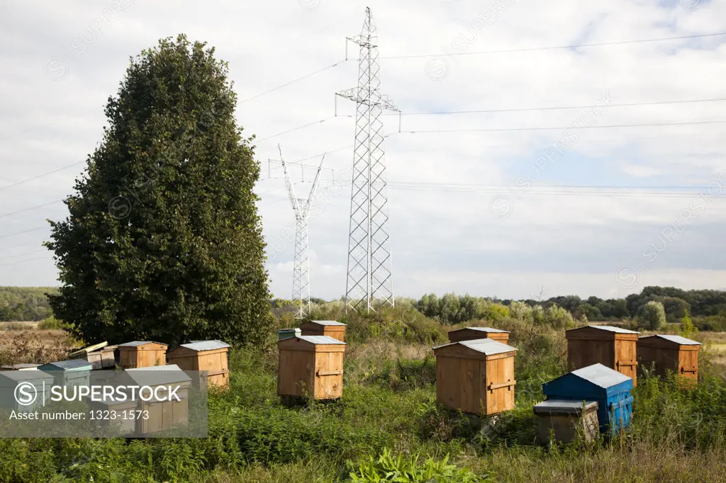 Beehives near the Church of The Intercession, Bogolyubovo, Suzdalsky District, Vladimir Oblast, Russia