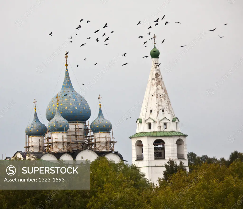 Birds flying over the Kremlin and church, Suzdal, Russia