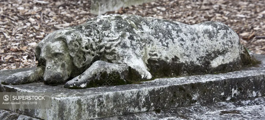 USA, Massachusetts, Boston, Dog Statue on tomb at Mount Auburn Cemetery
