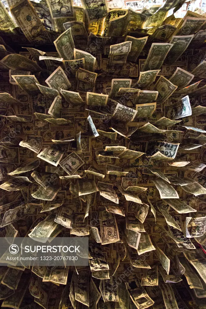 Ceiling of the Dollar Bar in Oatman, Arizona