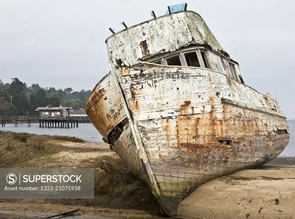 Shipwrecks at Tomales Bay,California 