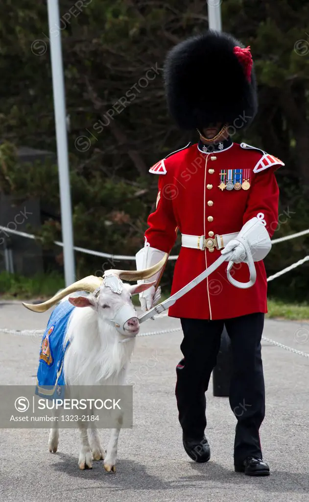 Changing of the Guard of the Royal 22nd Regiment with goat mascot in the Citadel, Quebec City, Quebec, Canada