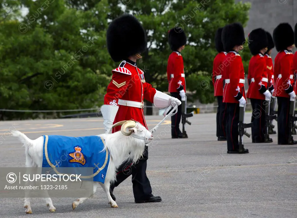 Changing of the Guard of the Royal 22nd Regiment with goat mascot in the Citadel, Quebec City, Quebec, Canada