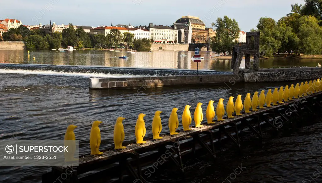 Czech Republic, Prague, Penquins lining Vltava River canal
