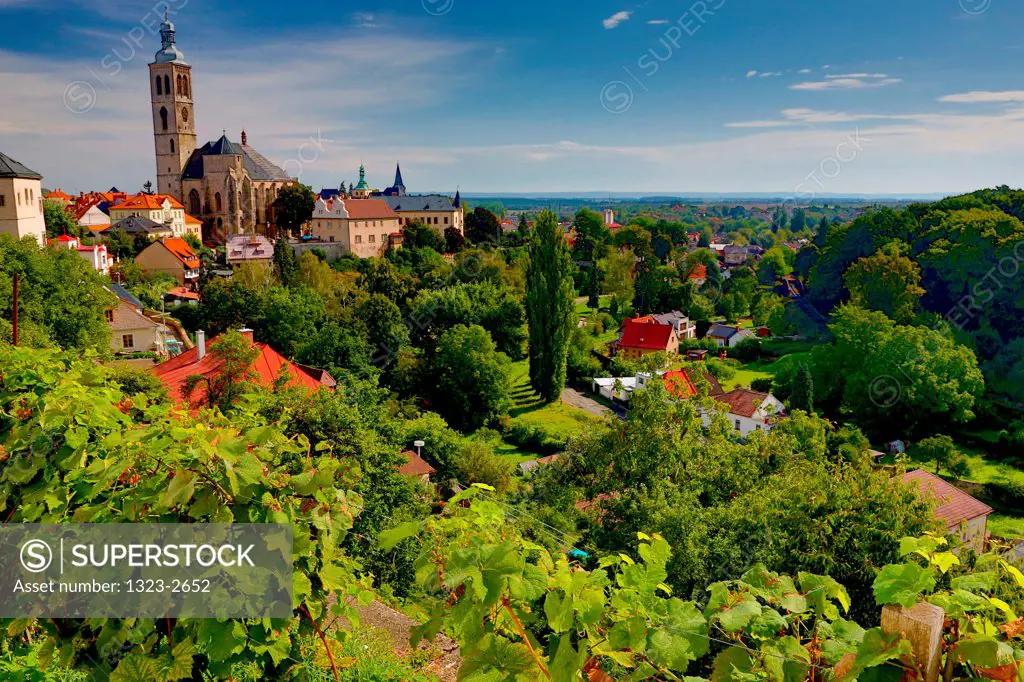 Czech Republic, Kutna Hora, Vineyards and St. James's Church