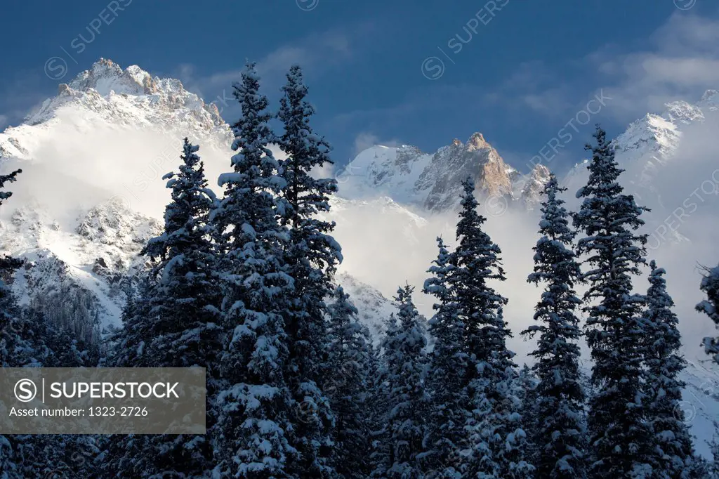 Snow covered trees with Tian Shan Mountains in the background, Bishkek, Kyrgyzstan