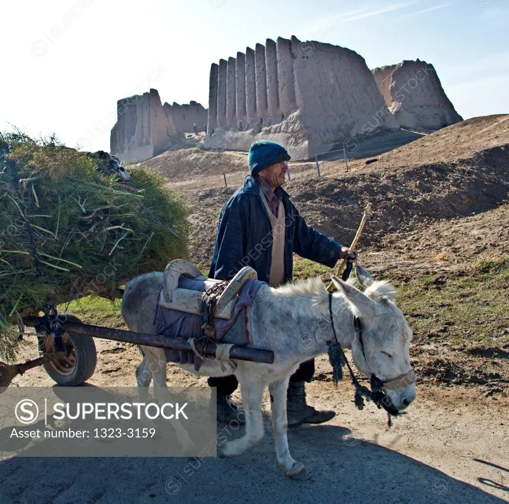 Turkmenistan, Merv, Man with donkey cart in front of Kiz Kala Fortress