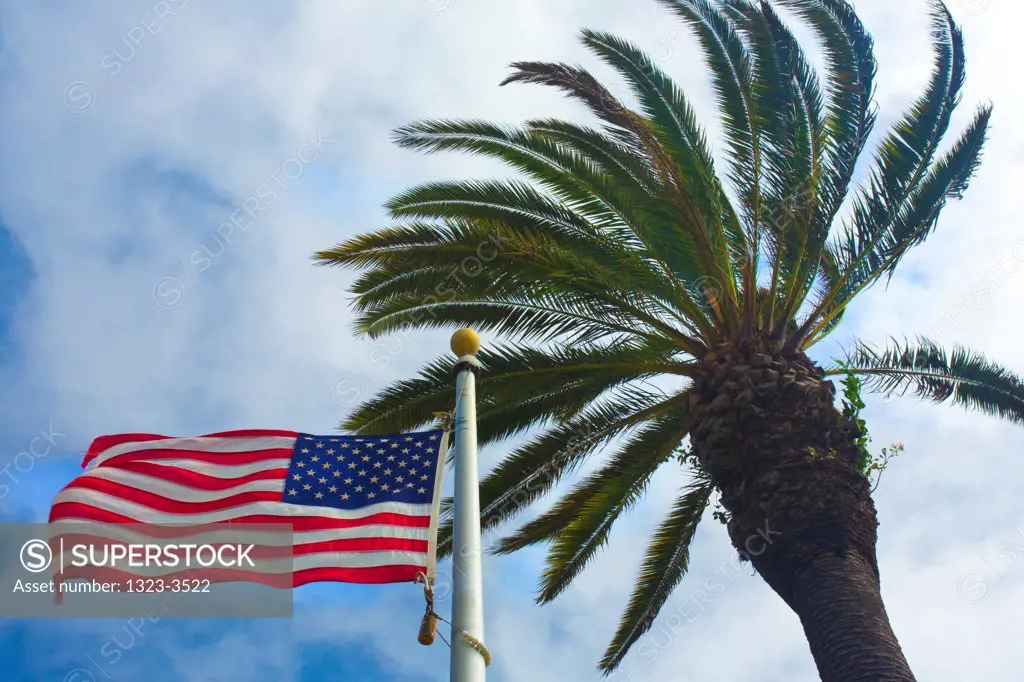 Low angle view of American Flag and palm tree, Santa Monica, Los Angeles County, California, USA