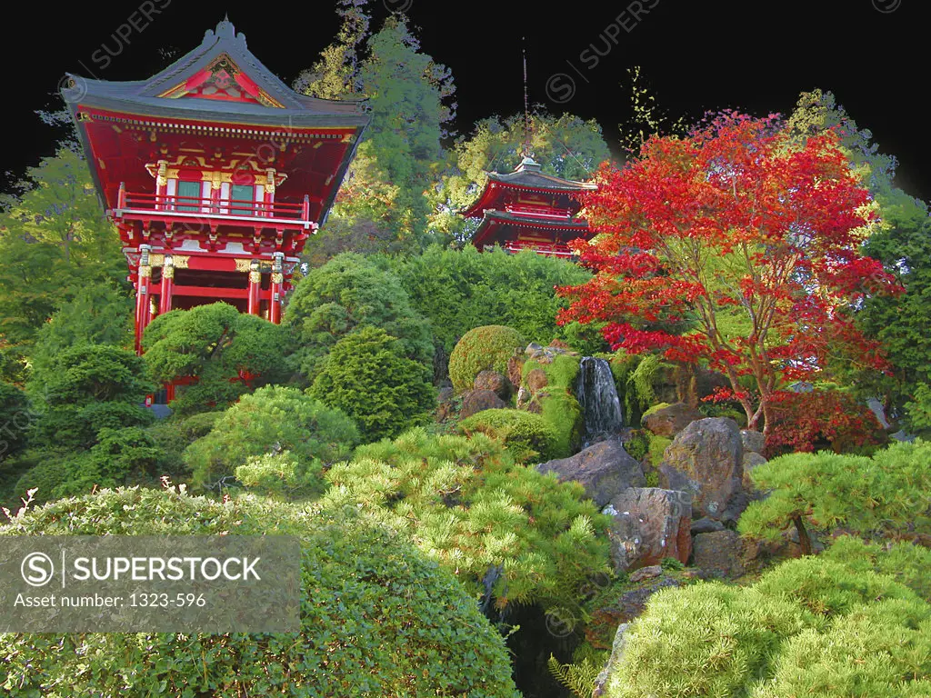Low angle view of pagodas in a garden, Japanese Tea Garden, Golden Gate Park, San Francisco, California, USA