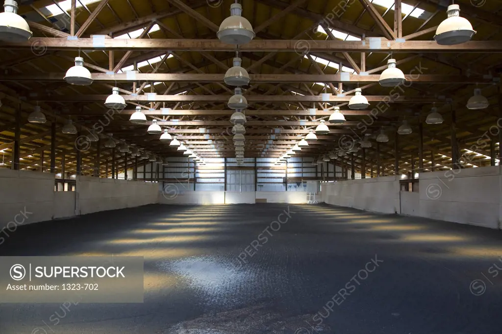 Electric lights in an indoor horse riding arena