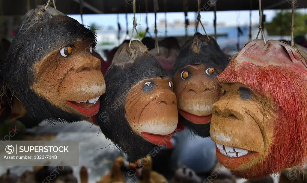 Close-up of four coconuts carved with monkey faces