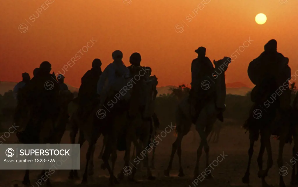 Silhouette of Tuareg people riding camels at sunset, Niger