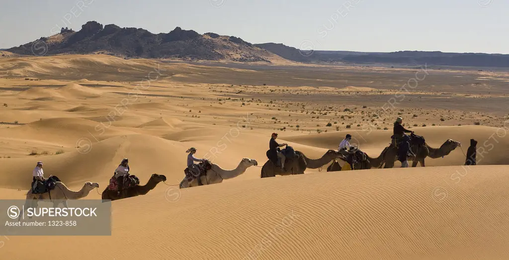 People riding camels in a desert, Erg Chebbi Dunes, Sahara Desert, Morocco