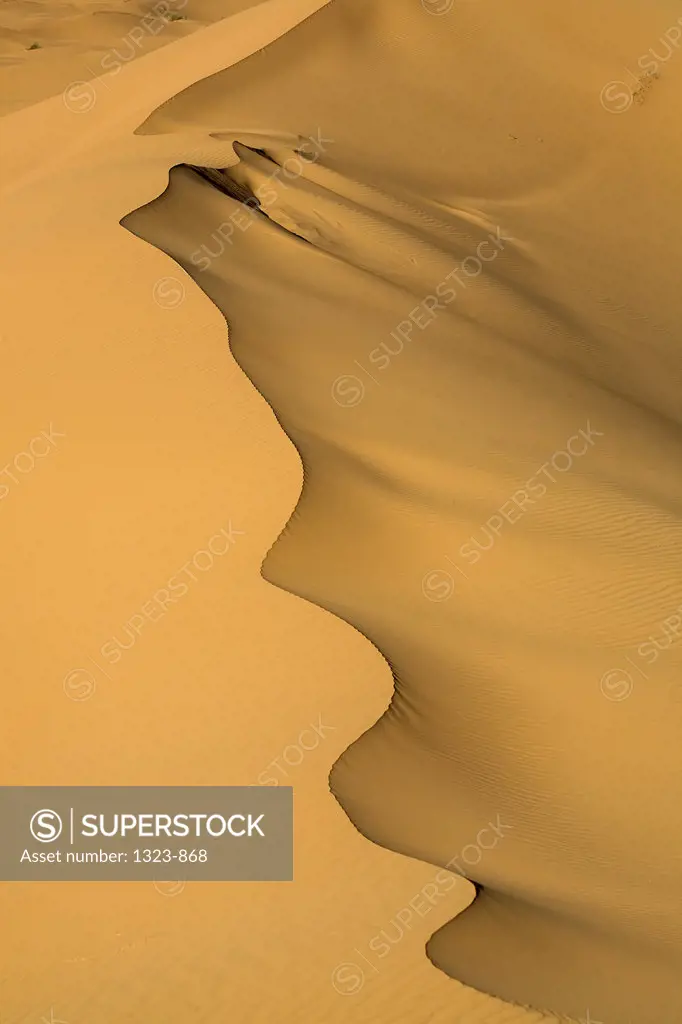 Sand dunes in a desert, Erg Chebbi Dunes, Sahara Desert, Morocco