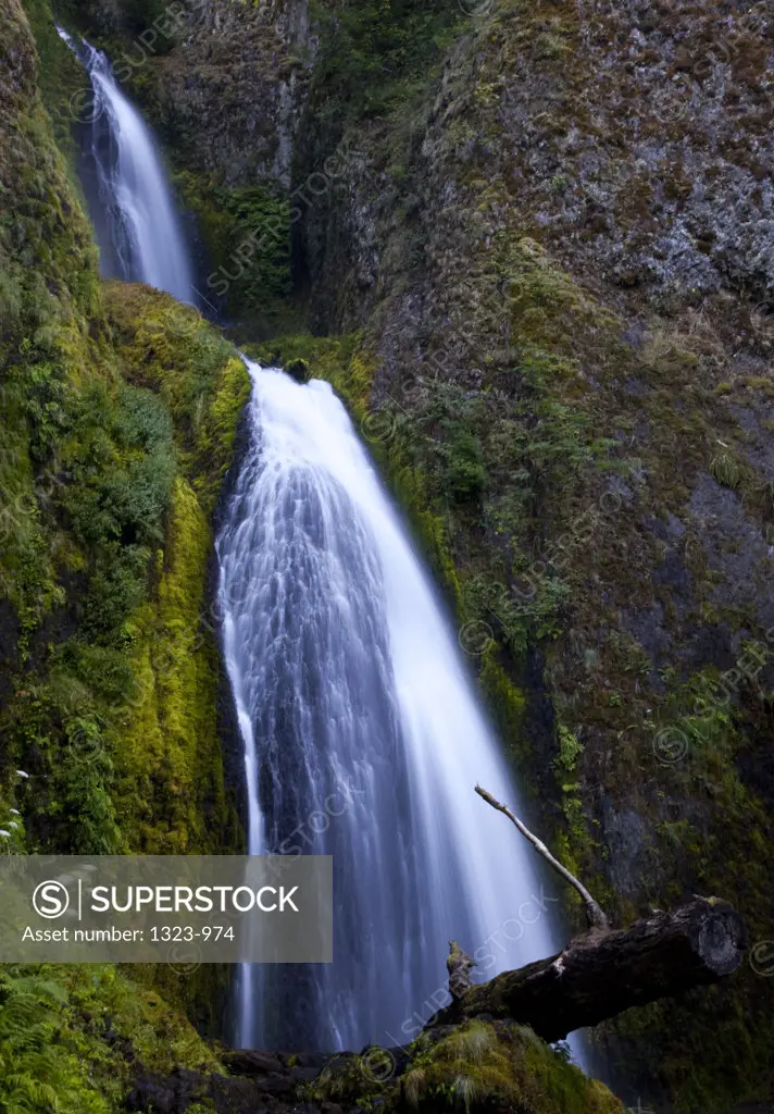 Low angle view of a waterfall, Horsetail Falls, Columbia River Gorge, Oregon, USA