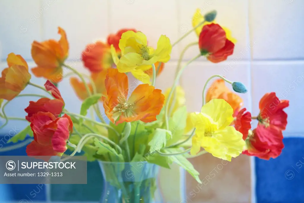 Close-up of colorful floral arrangement