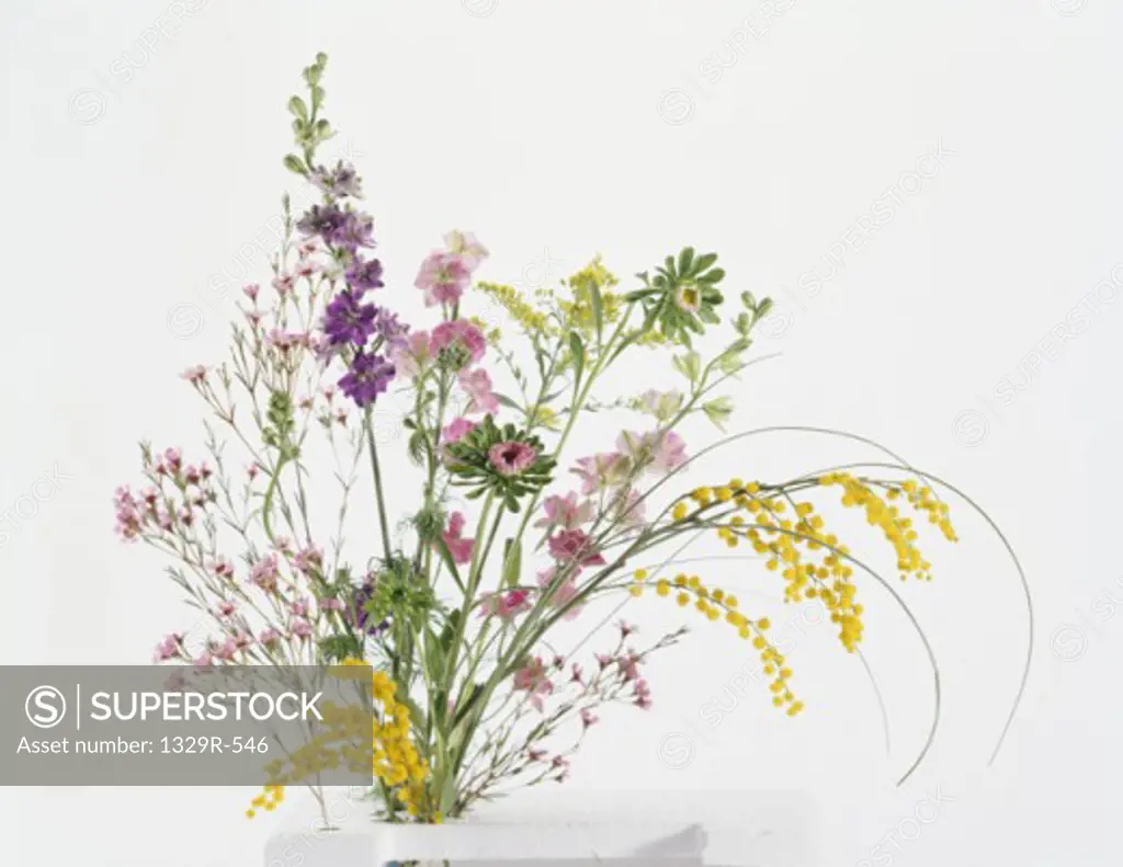 Arrangement of flowers