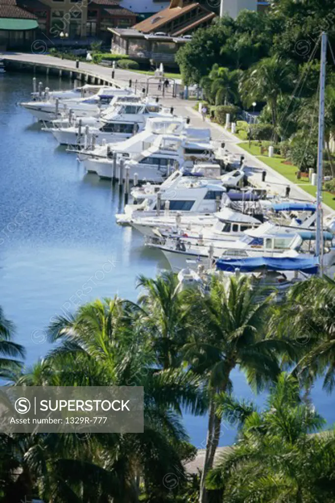 Boats docked at a port, Aventura, Florida, USA