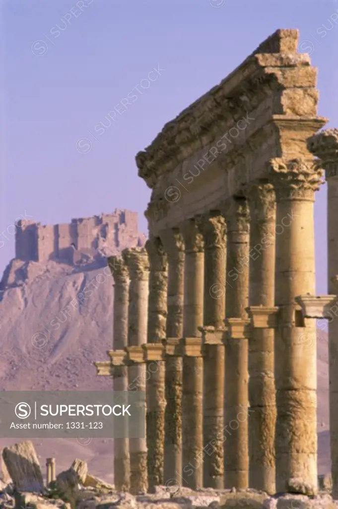 Palmyra Syria   