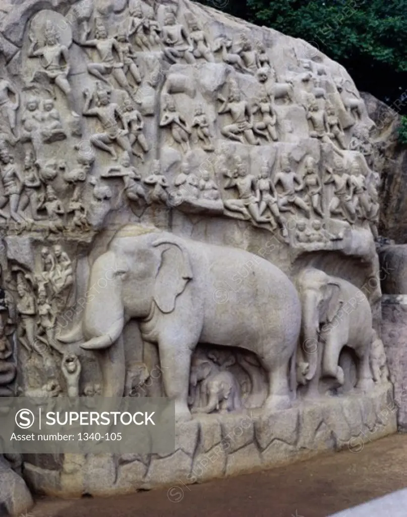 Close-up of carvings on a rock, Arjuna's Penance, Mahabalipuram, Tamil Nadu, India