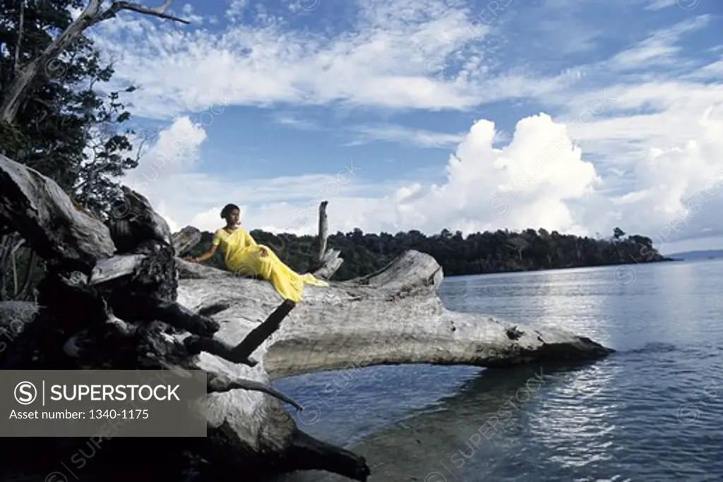 Woman sitting on an uprooted tree on the coast, Chidiya Tapu, Andaman Islands, Andaman and Nicobar Islands, India