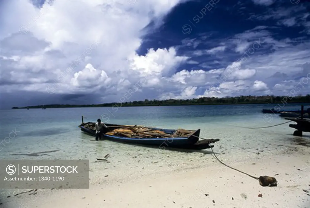 Boat moored on the beach, Havelock Island, Andaman Islands, Andaman and Nicobar Islands, India