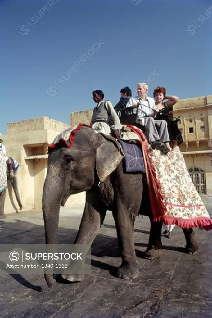 Tourists enjoying an elephant ride, Amber Fort, Jaipur, Rajasthan, India