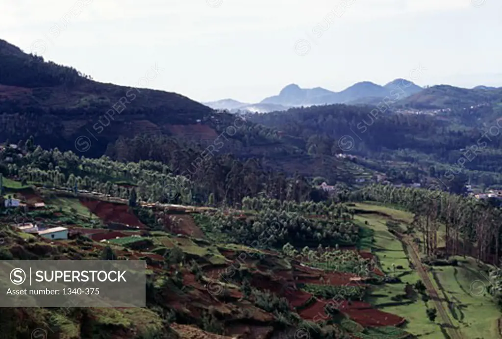 India, Tamil Nadu, Nilgiris, High angle view of valley