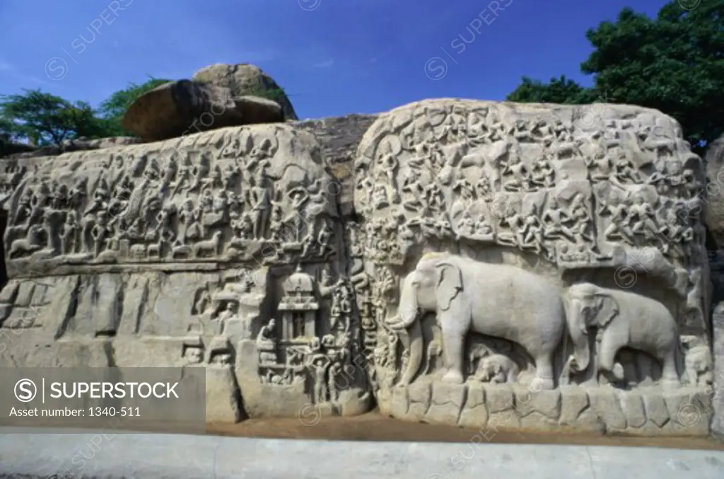 Sculptures carved on the rocks, Arjuna's Penance, Mahabalipuram, Tamil Nadu, India