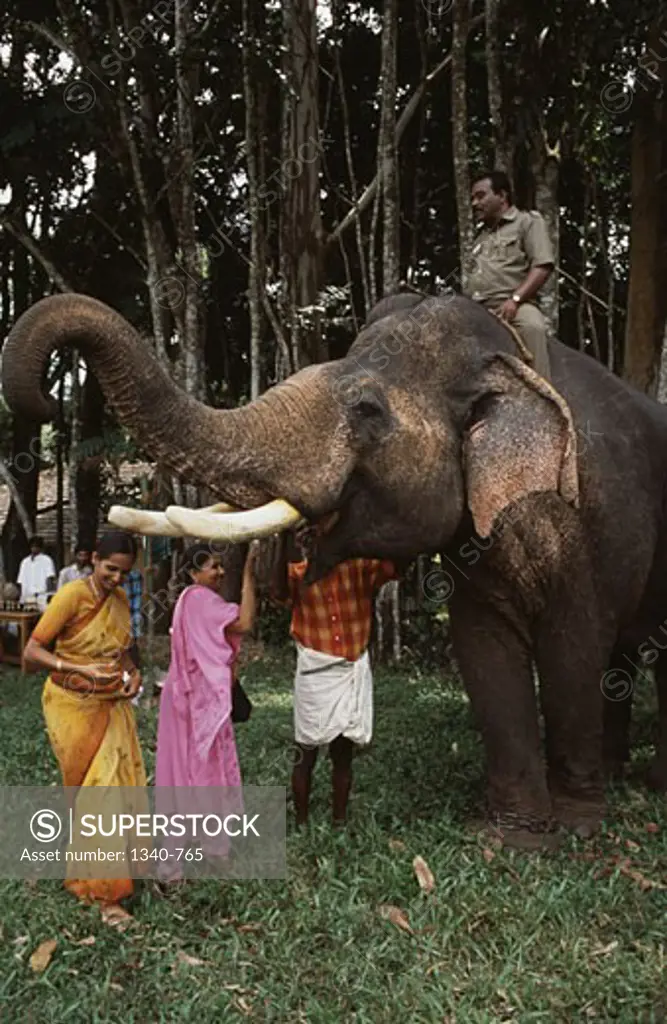 People with an elephant at a traditional Elephant Day celebration, Indira Gandhi National Park, Coimbatore, Tamil Nadu, India