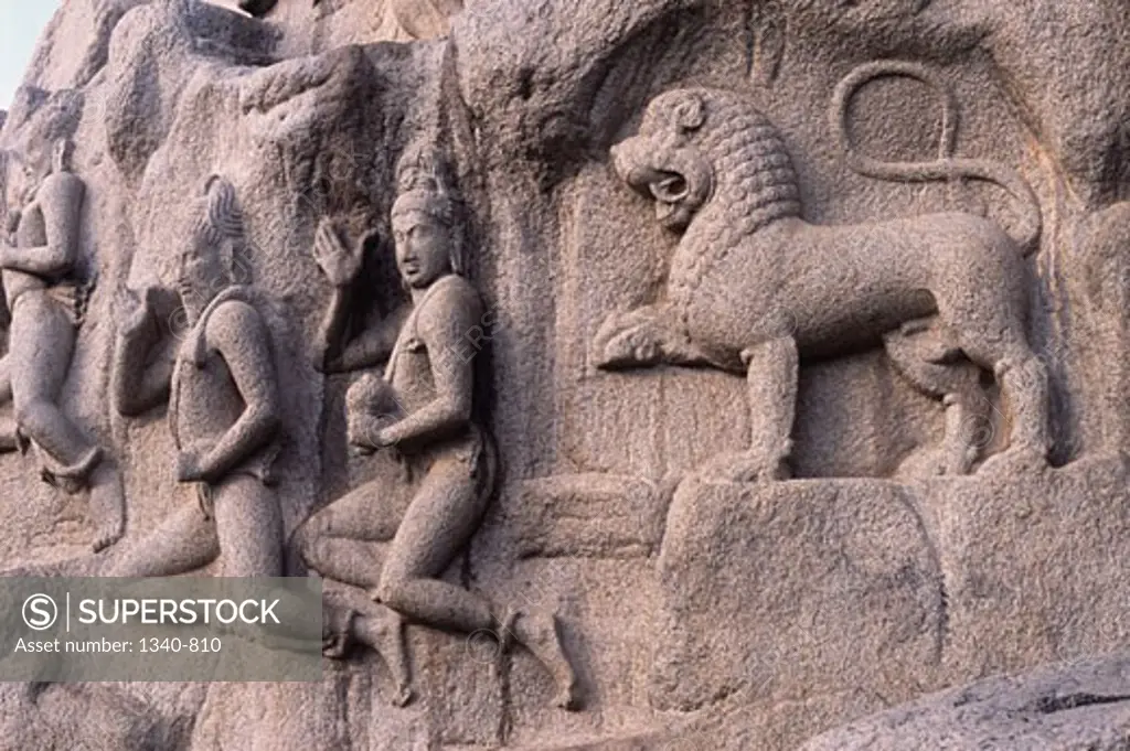 Sculptures carved on rocks, Arjuna's Penance, Mahabalipuram, Tamil Nadu, India