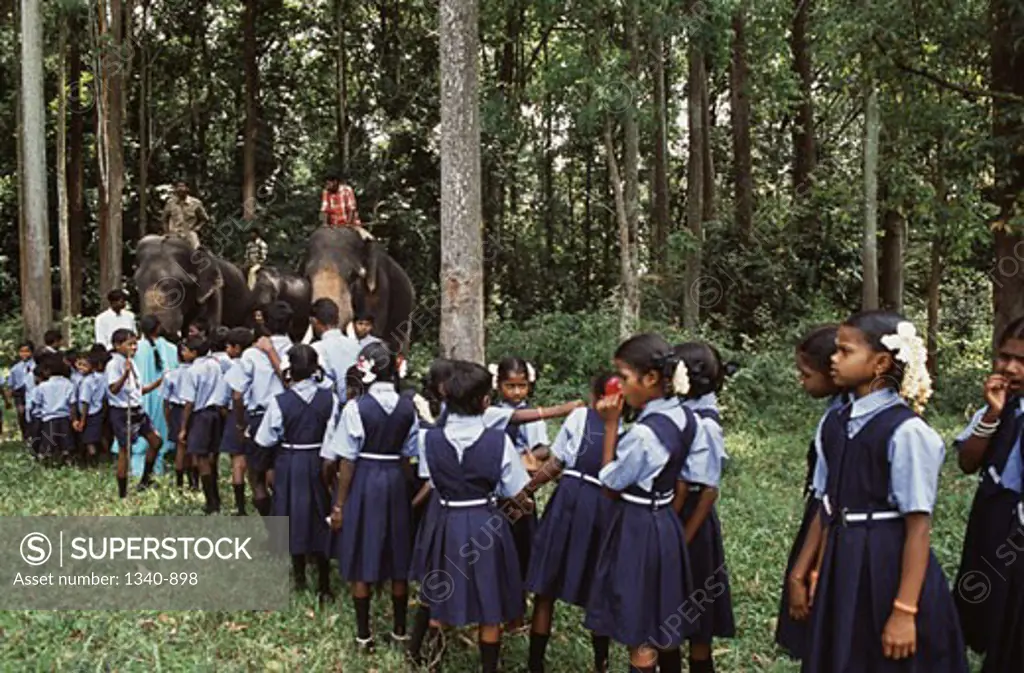 School children looking at elephants at a traditional Elephant Day celebration, Indira Gandhi National Park, Coimbatore, Tamil Nadu, India