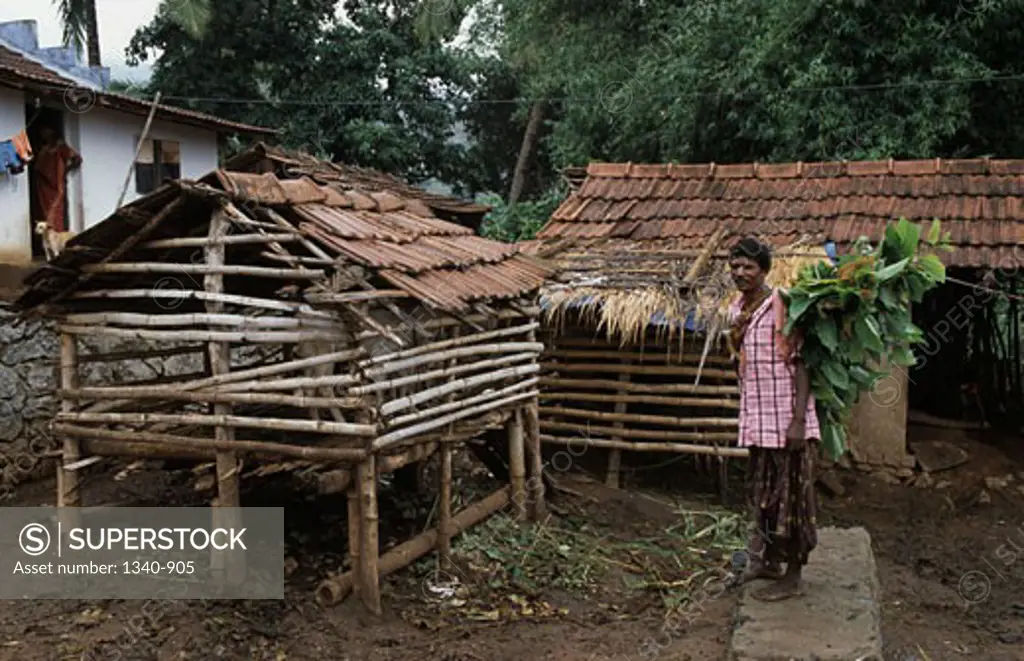 Side profile of an Irula tribal man standing with fodder near a shelter, Attappadi, Palakkad District, Kerala, India