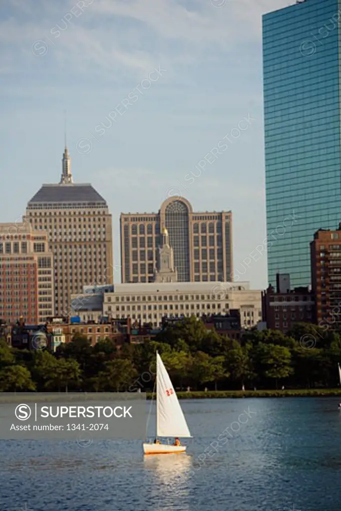 Sailboat in a river, Charles River, Boston, Massachusetts, USA