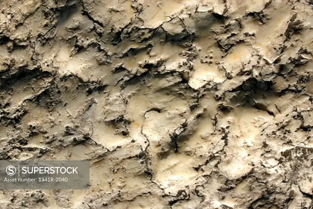 Close-up of a textured marble surface, Rome, Italy