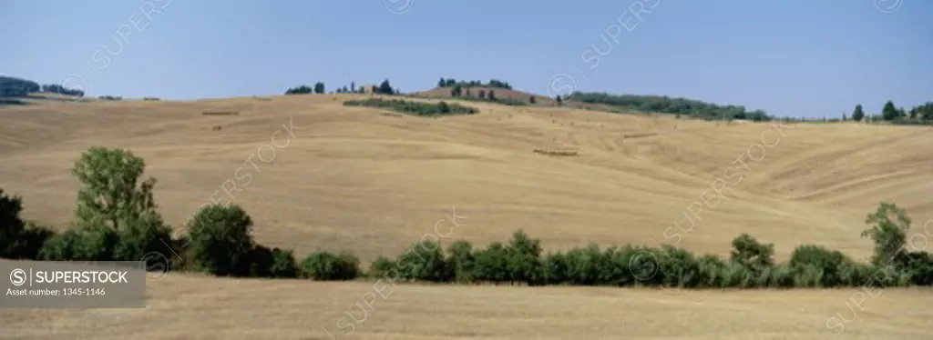 Panoramic view of a field, Val d'Orcia, Tuscany, Italy