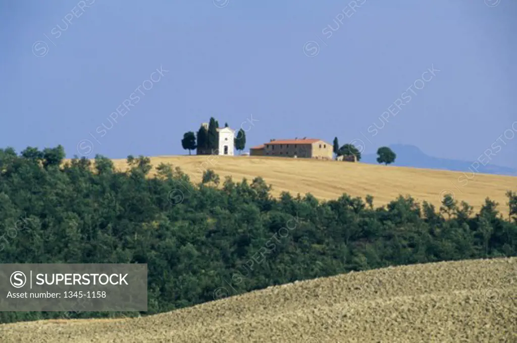 Chapel in a field, Vitaleta Chapel, Val d'Orcia, Tuscany, Italy