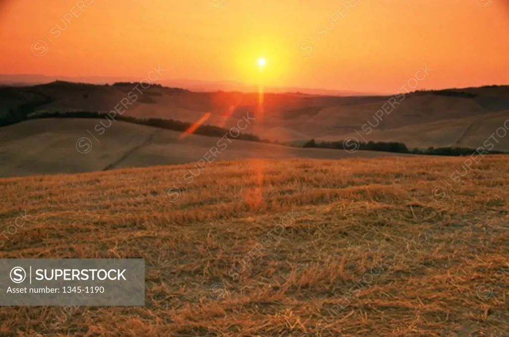 High angle view of a field at sunset, Crete Senesi, Italy