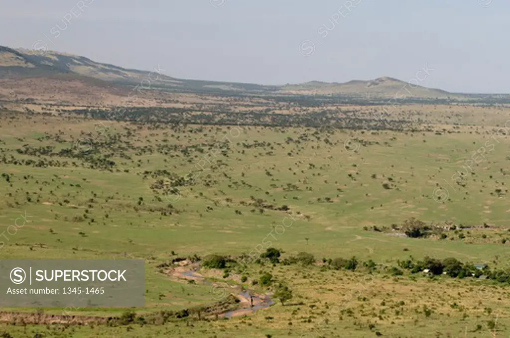 Stream flowing through a landscape, Masai Mara National Reserve, Kenya