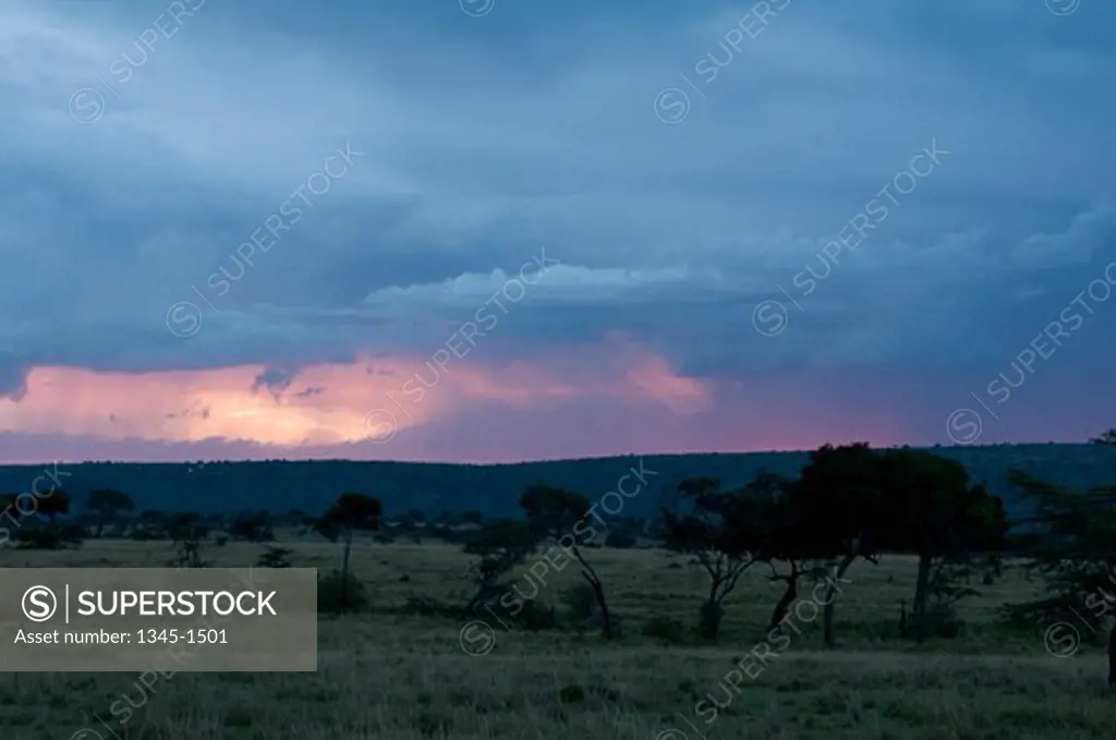 Storm clouds over a landscape, Masai Mara National Reserve, Kenya