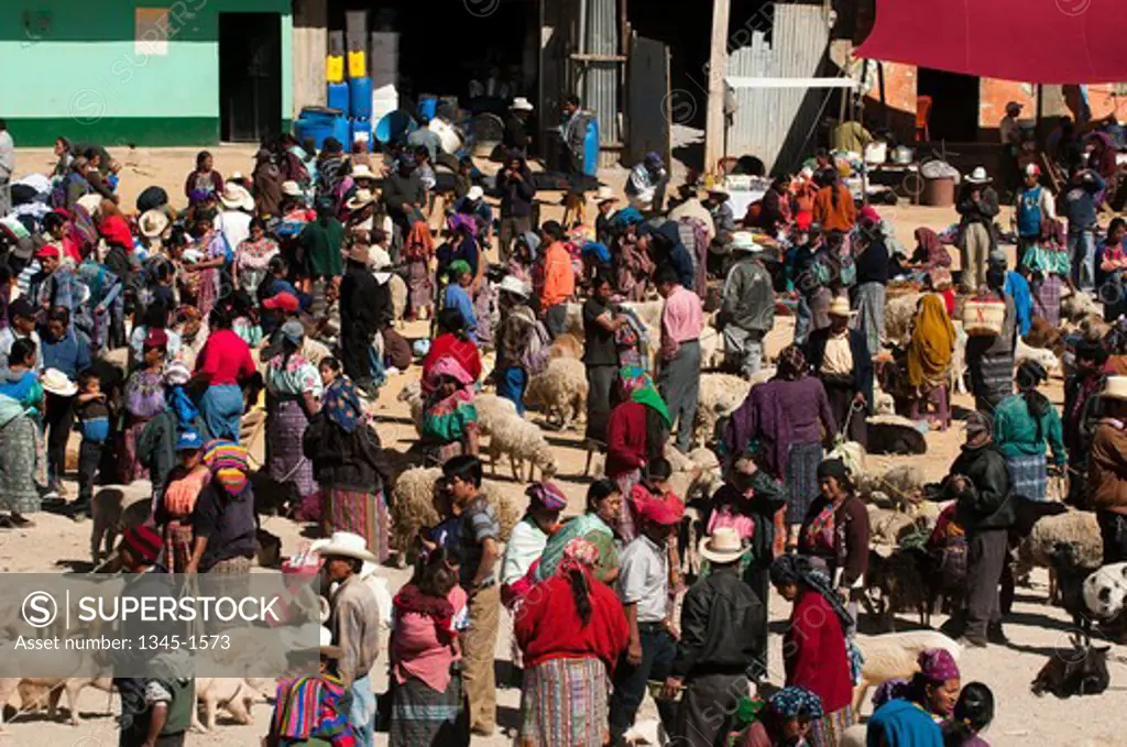 People trading in a cattle market, San Francisco El Alto, Guatemala