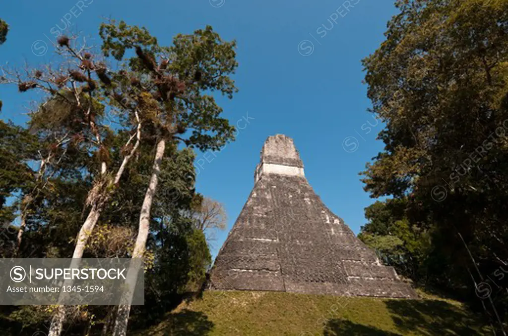 Low angle view of a temple, Tikal Temple I, Tikal National Park, Tikal, Guatemala
