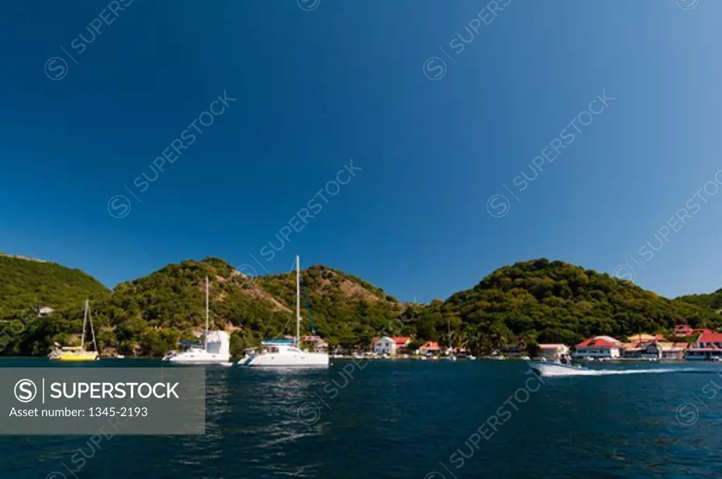 French Caribbean, Guadeloupe, Terre de Haut, iles des Saintes, Le Bourg, Yachts in harbour